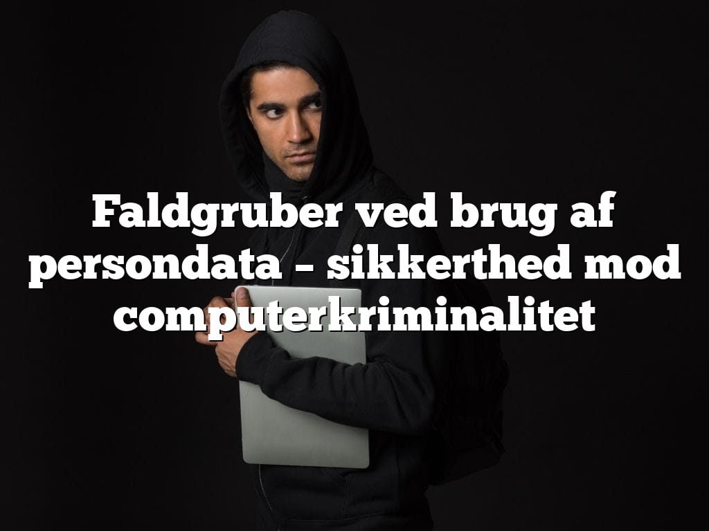 Faldgruber ved brug af persondata – sikkerthed mod computerkriminalitet Faldgruber ved brug af persondata – sikkerthed mod computerkriminalitet