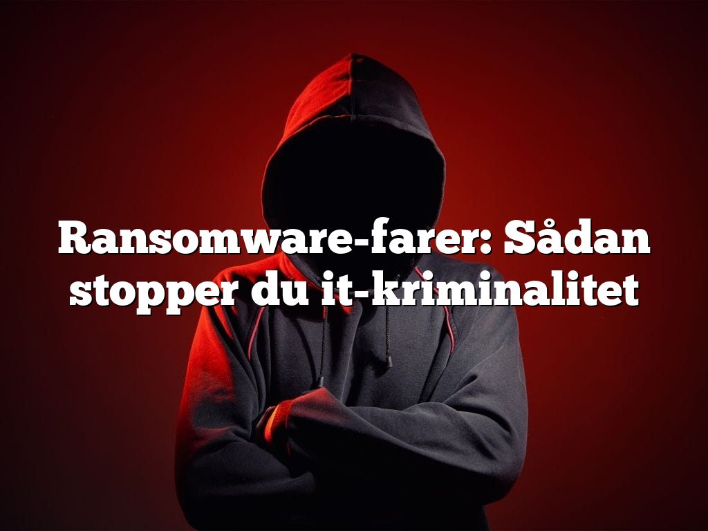 Ransomware-farer: Sådan stopper du it-kriminalitet
