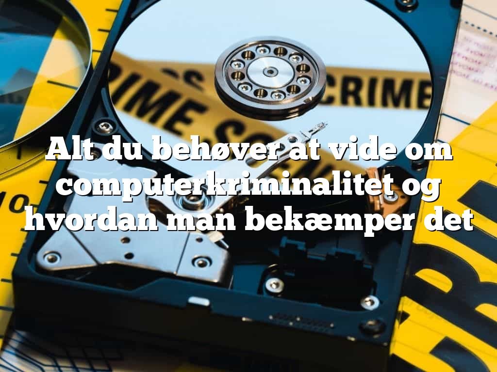 Alt du behøver at vide om computerkriminalitet og hvordan man bekæmper det