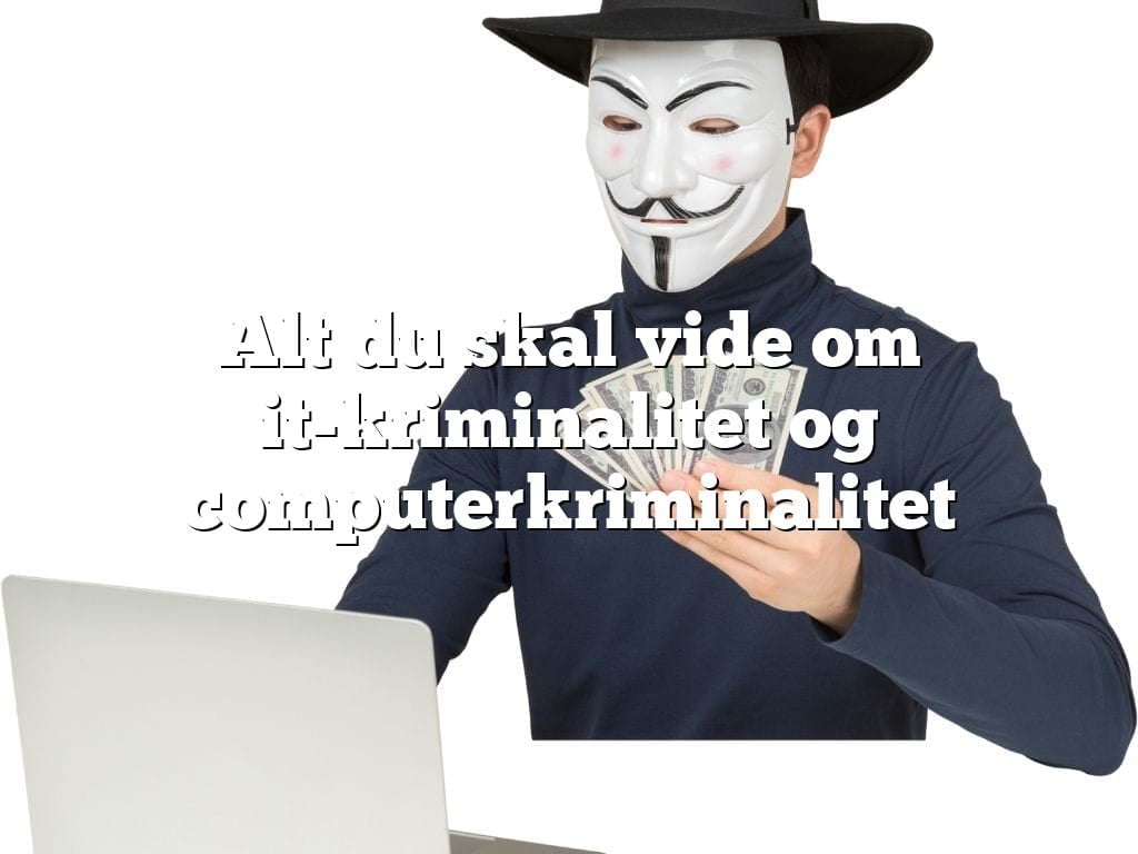 Alt du skal vide om it-kriminalitet og computerkriminalitet