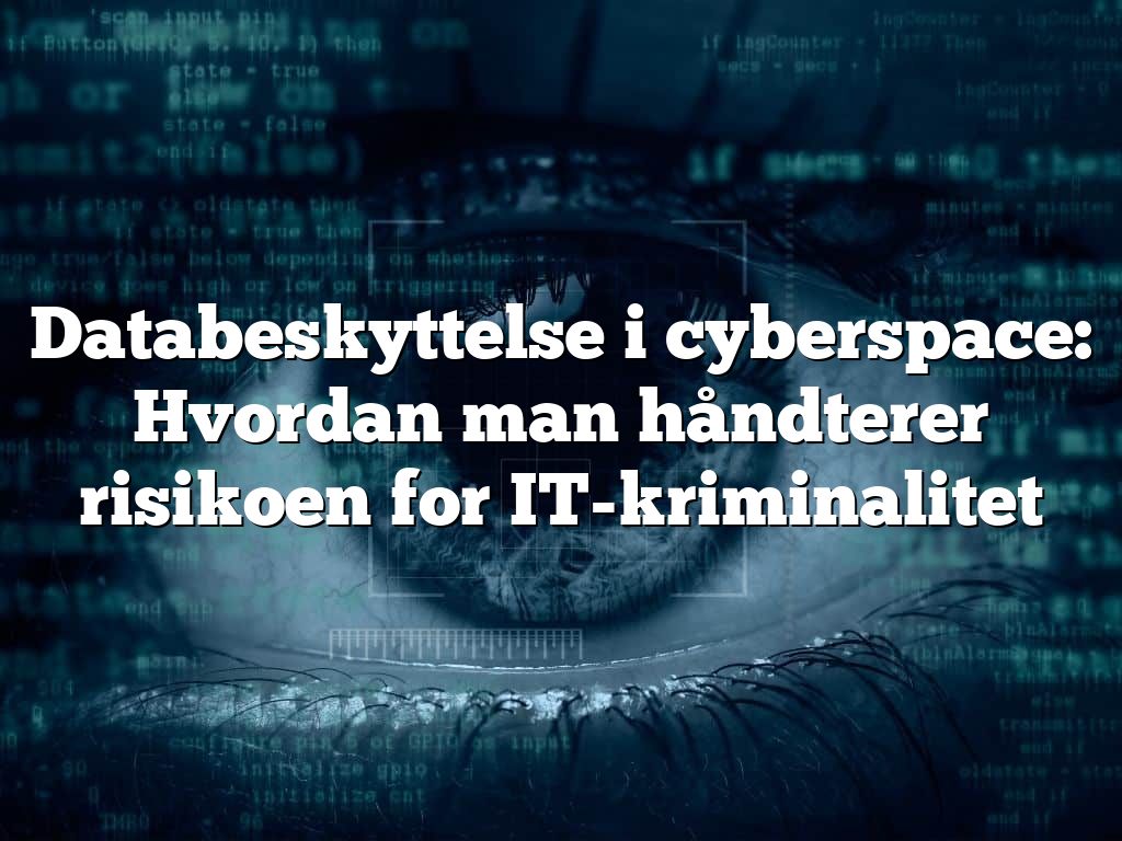 Databeskyttelse i cyberspace: Hvordan man håndterer risikoen for IT-kriminalitet Databeskyttelse i cyberspace: Hvordan man håndterer risikoen for IT-kriminalitet