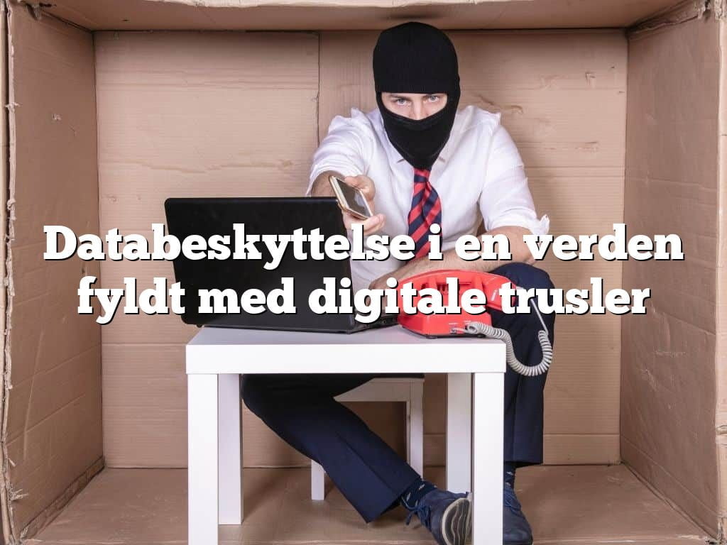 Databeskyttelse i en verden fyldt med digitale trusler Databeskyttelse i en verden fyldt med digitale trusler