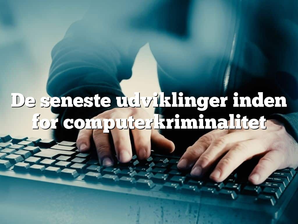 De seneste udviklinger inden for computerkriminalitet