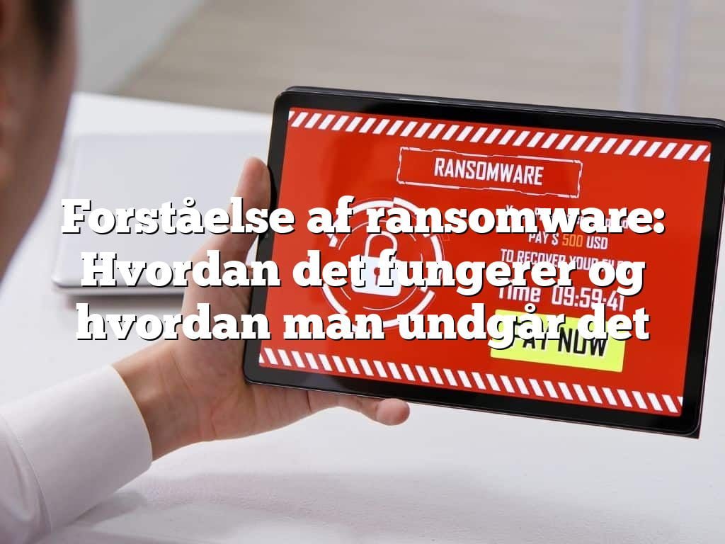 Forståelse af ransomware: Hvordan det fungerer og hvordan man undgår det