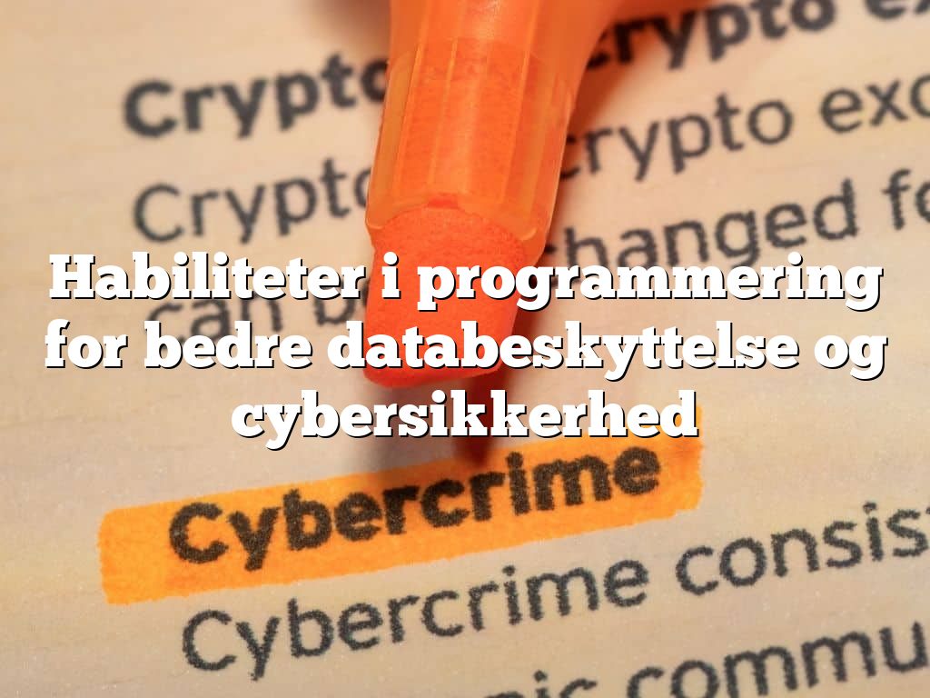 Habiliteter i programmering for bedre databeskyttelse og cybersikkerhed Habiliteter i programmering for bedre databeskyttelse og cybersikkerhed
