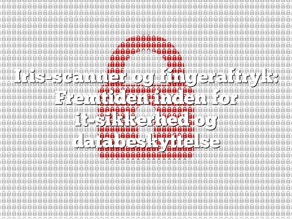 Iris-scanner og fingeraftryk: Fremtiden inden for it-sikkerhed og databeskyttelse Iris-scanner og fingeraftryk: Fremtiden inden for it-sikkerhed og databeskyttelse
