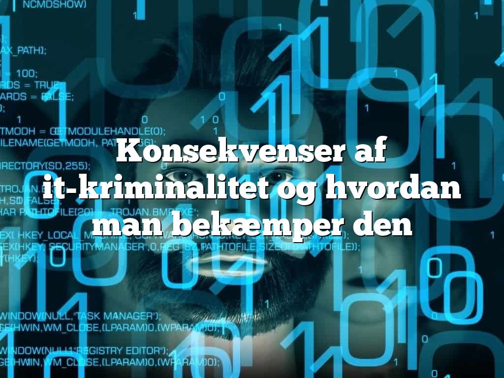 Konsekvenser af it-kriminalitet og hvordan man bekæmper den