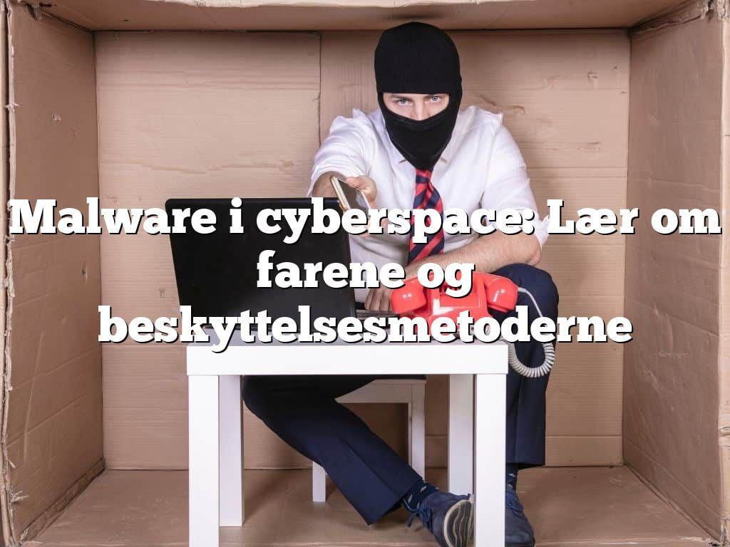 Malware i cyberspace: Lær om farene og beskyttelsesmetoderne