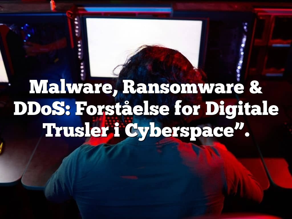 Malware, Ransomware & DDoS: Forståelse for Digitale Trusler i Cyberspace”.