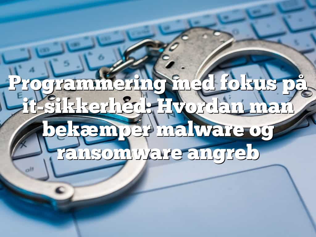 Programmering med fokus på it-sikkerhed: Hvordan man bekæmper malware og ransomware angreb