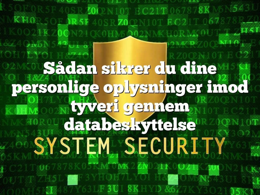 Sådan sikrer du dine personlige oplysninger imod tyveri gennem databeskyttelse Sådan sikrer du dine personlige oplysninger imod tyveri gennem databeskyttelse