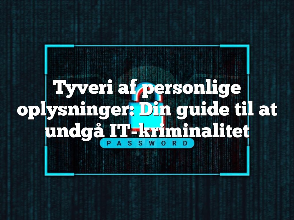 Tyveri af personlige oplysninger: Din guide til at undgå IT-kriminalitet