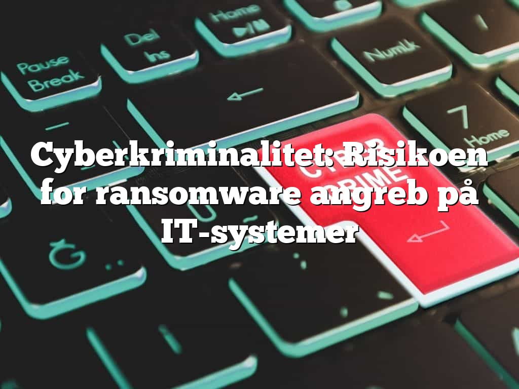 Cyberkriminalitet: Risikoen for ransomware angreb på IT-systemer Cyberkriminalitet: Risikoen for ransomware angreb på IT-systemer