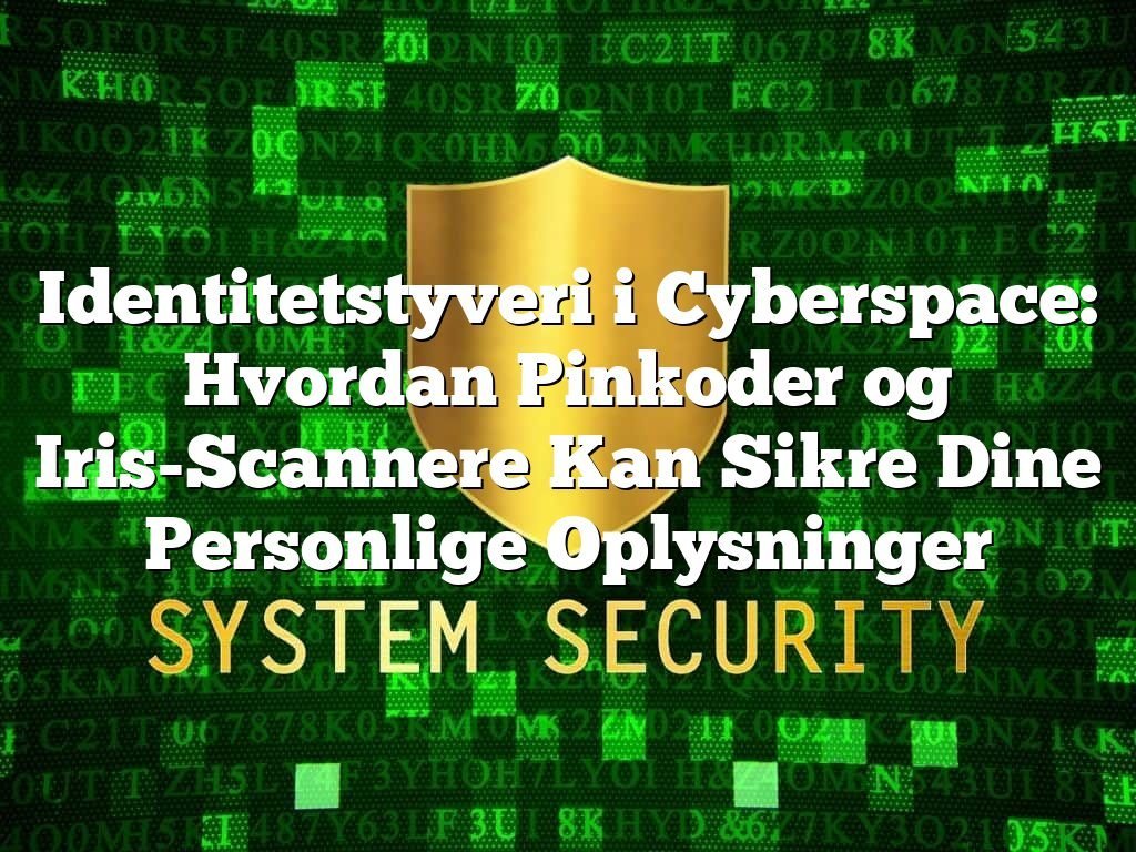 Identitetstyveri i Cyberspace: Hvordan Pinkoder og Iris-Scannere Kan Sikre Dine Personlige Oplysninger Identitetstyveri i Cyberspace: Hvordan Pinkoder og Iris-Scannere Kan Sikre Dine Personlige Oplysninger