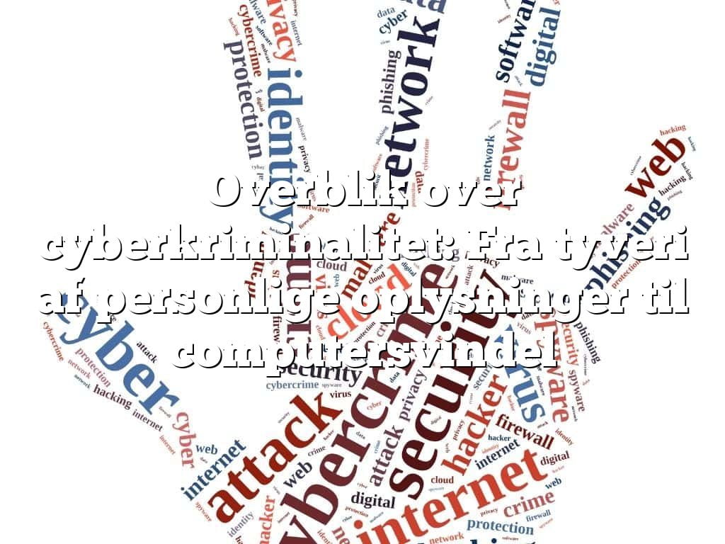 Overblik over cyberkriminalitet: Fra tyveri af personlige oplysninger til computersvindel
