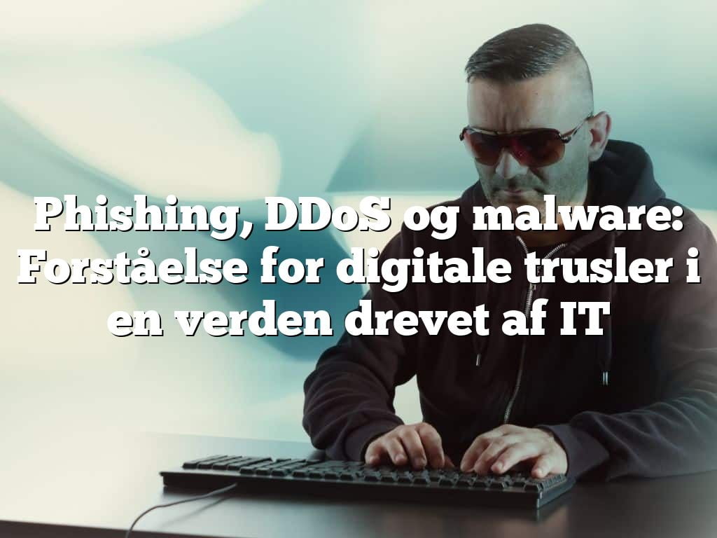 Phishing, DDoS og malware: Forståelse for digitale trusler i en verden drevet af IT Phishing, DDoS og malware: Forståelse for digitale trusler i en verden drevet af IT