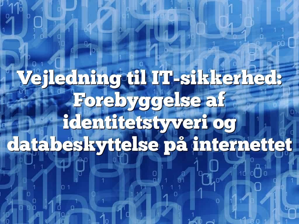 Vejledning til IT-sikkerhed: Forebyggelse af identitetstyveri og databeskyttelse på internettet Vejledning til IT-sikkerhed: Forebyggelse af identitetstyveri og databeskyttelse på internettet