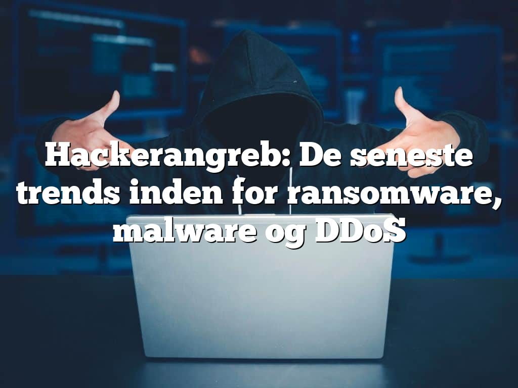 Hackerangreb: De seneste trends inden for ransomware, malware og DDoS Hackerangreb: De seneste trends inden for ransomware, malware og DDoS
