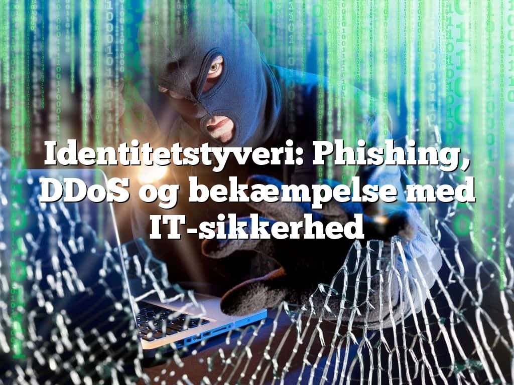 Identitetstyveri: Phishing, DDoS og bekæmpelse med IT-sikkerhed
