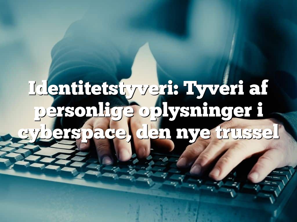 Identitetstyveri: Tyveri af personlige oplysninger i cyberspace, den nye trussel Identitetstyveri: Tyveri af personlige oplysninger i cyberspace, den nye trussel