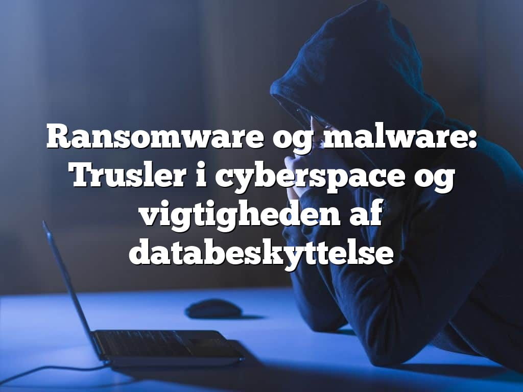 Ransomware og malware: Trusler i cyberspace og vigtigheden af databeskyttelse