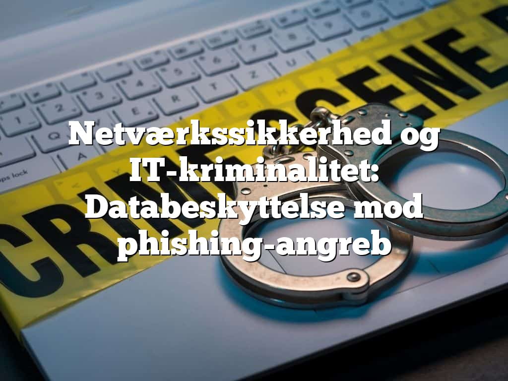 Netværkssikkerhed og IT-kriminalitet: Databeskyttelse mod phishing-angreb Netværkssikkerhed og IT-kriminalitet: Databeskyttelse mod phishing-angreb