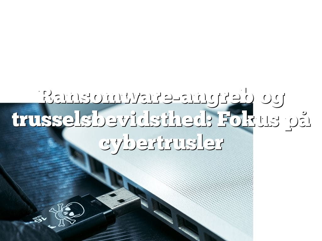 Ransomware-angreb og trusselsbevidsthed: Fokus på cybertrusler Ransomware-angreb og trusselsbevidsthed: Fokus på cybertrusler