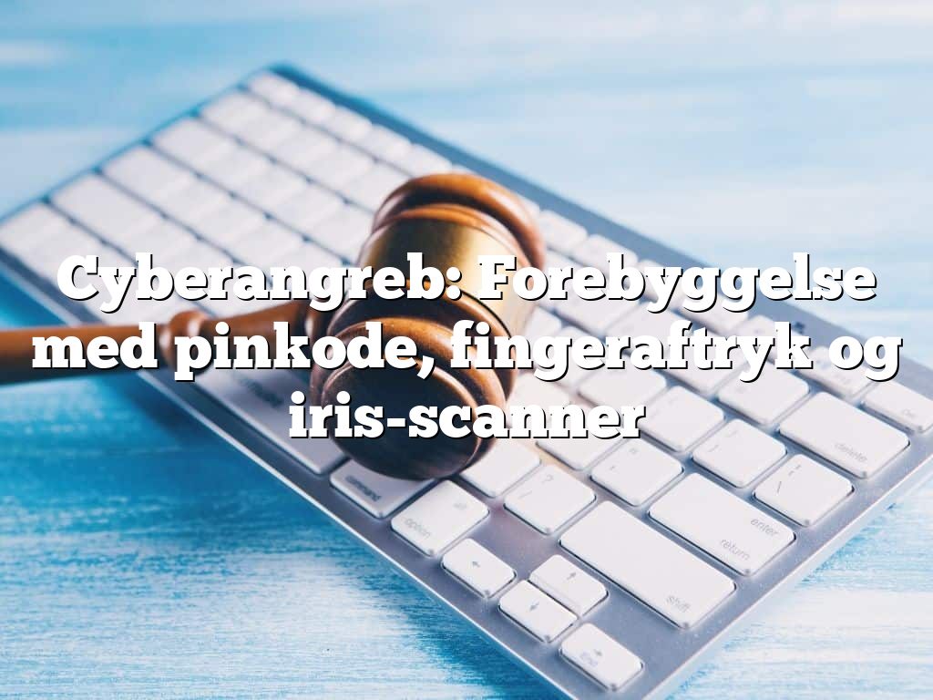 Cyberangreb: Forebyggelse med pinkode, fingeraftryk og iris-scanner