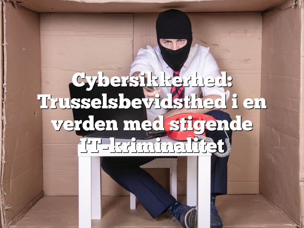 Cybersikkerhed: Trusselsbevidsthed i en verden med stigende IT-kriminalitet