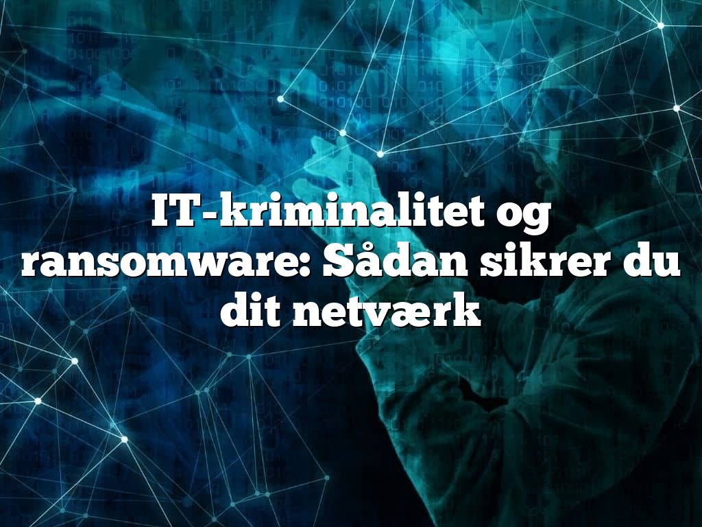 IT-kriminalitet og ransomware: Sådan sikrer du dit netværk