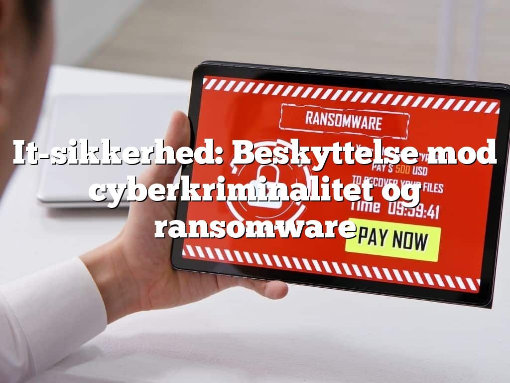 It-sikkerhed: Beskyttelse mod cyberkriminalitet og ransomware