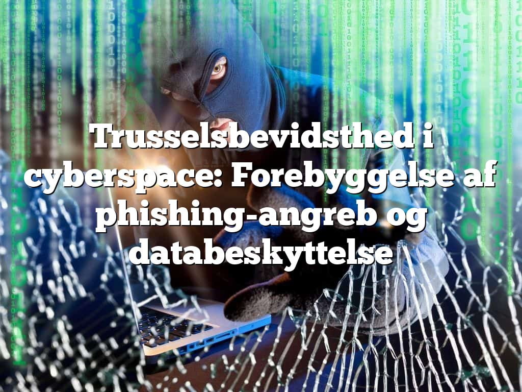 Trusselsbevidsthed i cyberspace: Forebyggelse af phishing-angreb og databeskyttelse