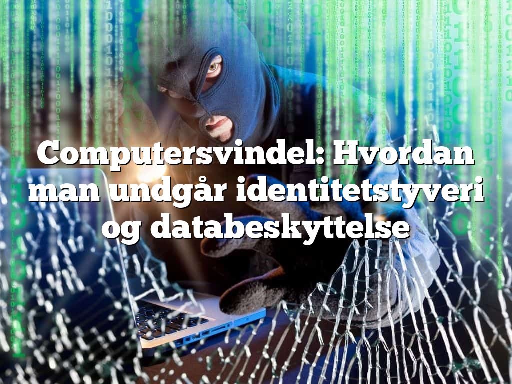 Computersvindel: Hvordan man undgår identitetstyveri og databeskyttelse