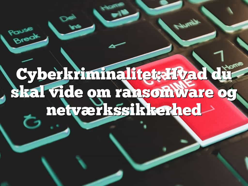Cyberkriminalitet: Hvad du skal vide om ransomware og netværkssikkerhed