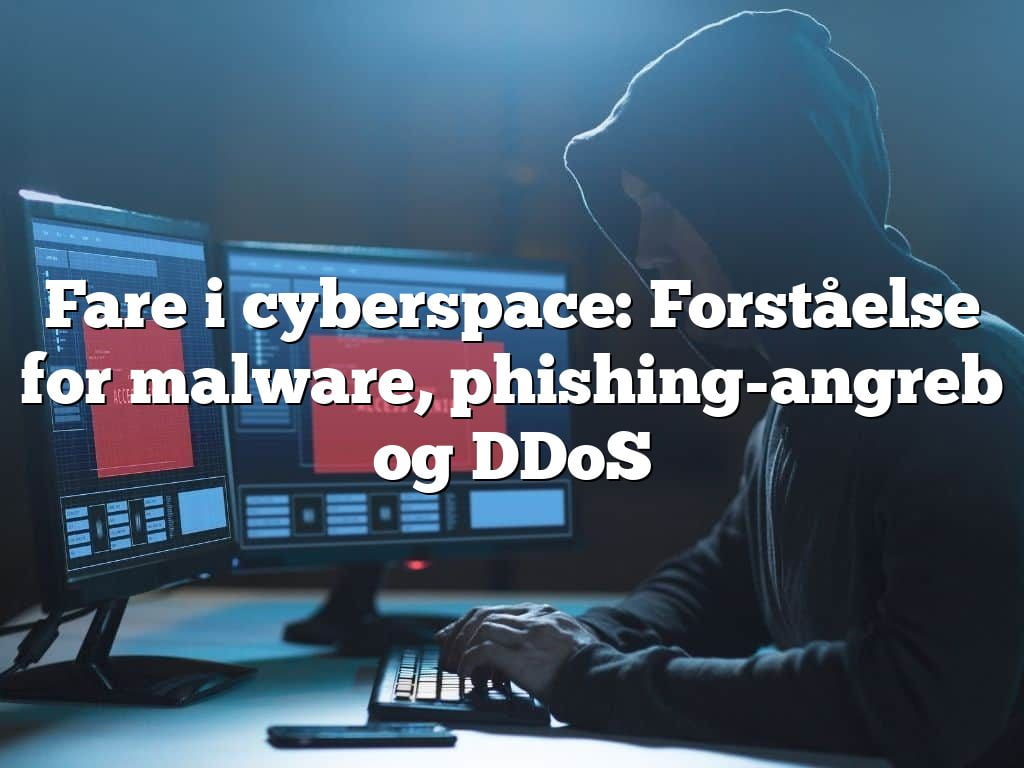 Fare i cyberspace: Forståelse for malware, phishing-angreb og DDoS