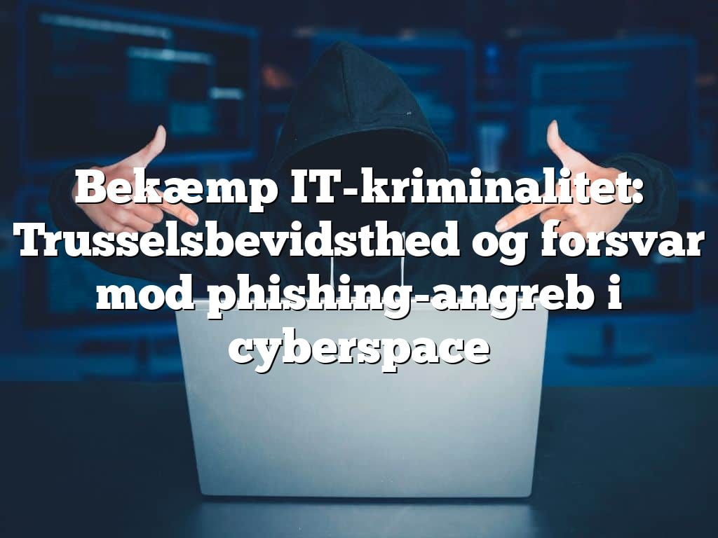 Bekæmp IT-kriminalitet: Trusselsbevidsthed og forsvar mod phishing-angreb i cyberspace