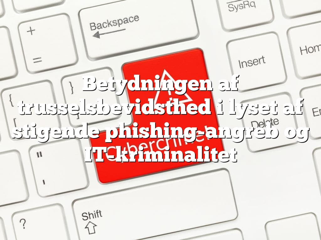 Betydningen af trusselsbevidsthed i lyset af stigende phishing-angreb og IT-kriminalitet