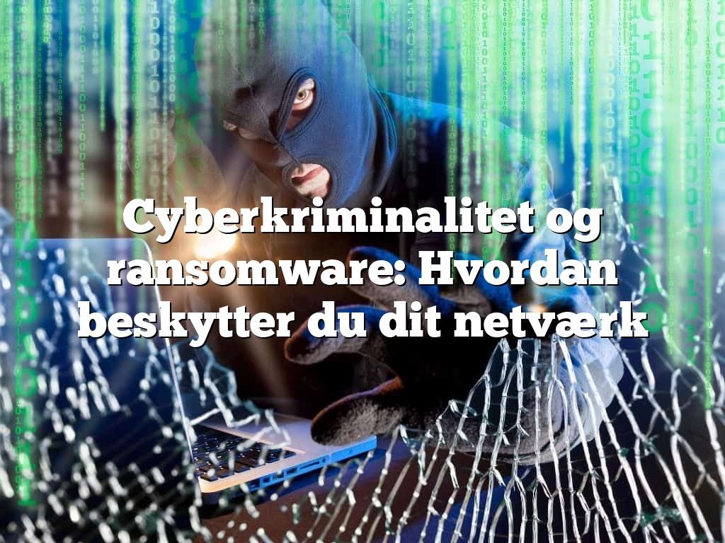 Cyberkriminalitet og ransomware: Hvordan beskytter du dit netværk Cyberkriminalitet og ransomware: Hvordan beskytter du dit netværk
