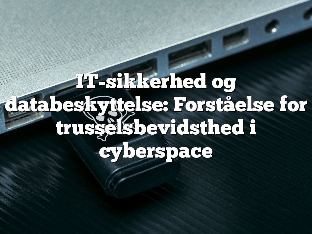 IT-sikkerhed og databeskyttelse: Forståelse for trusselsbevidsthed i cyberspace IT-sikkerhed og databeskyttelse: Forståelse for trusselsbevidsthed i cyberspace