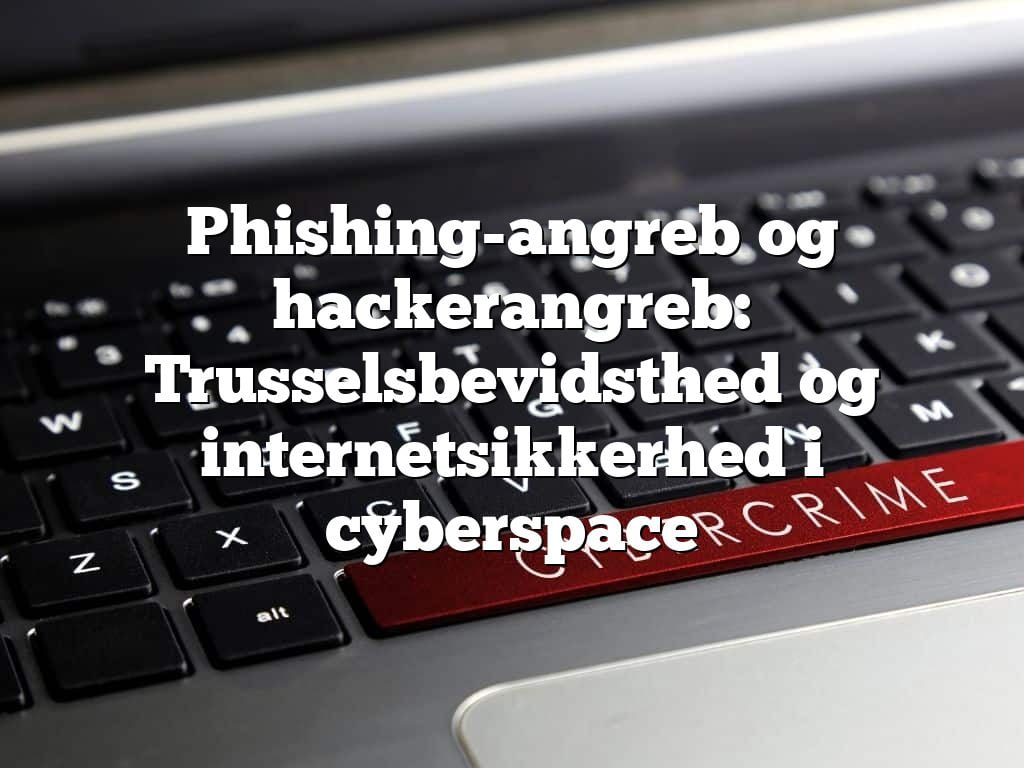 Phishing-angreb og hackerangreb: Trusselsbevidsthed og internetsikkerhed i cyberspace