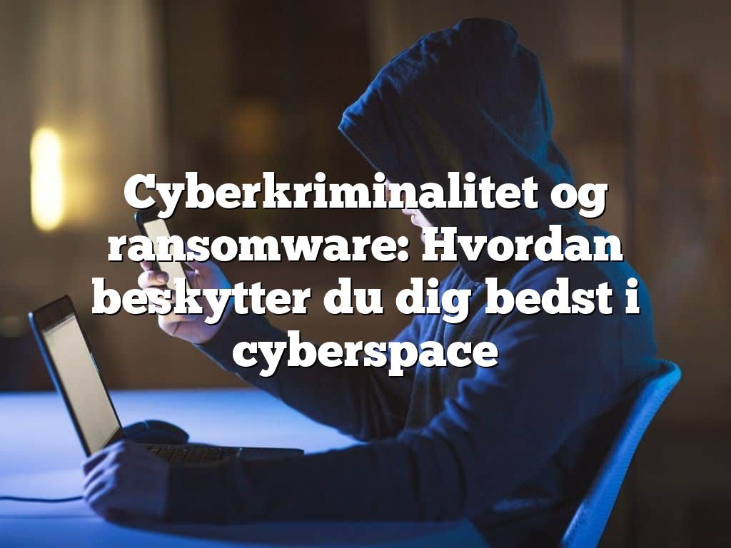 Cyberkriminalitet og ransomware: Hvordan beskytter du dig bedst i cyberspace Cyberkriminalitet og ransomware: Hvordan beskytter du dig bedst i cyberspace