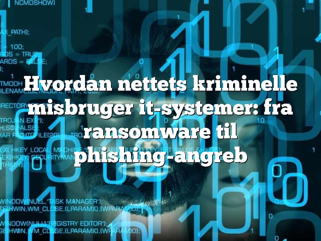 Hvordan nettets kriminelle misbruger it-systemer: fra ransomware til phishing-angreb