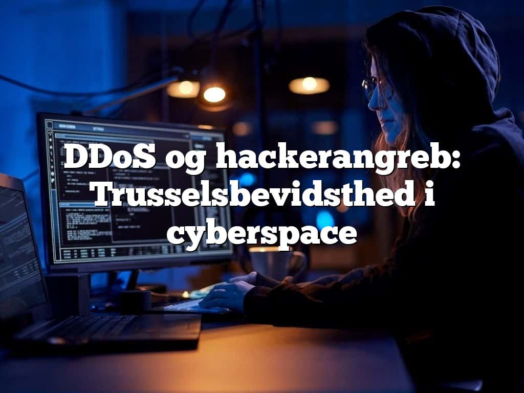 DDoS og hackerangreb: Trusselsbevidsthed i cyberspace