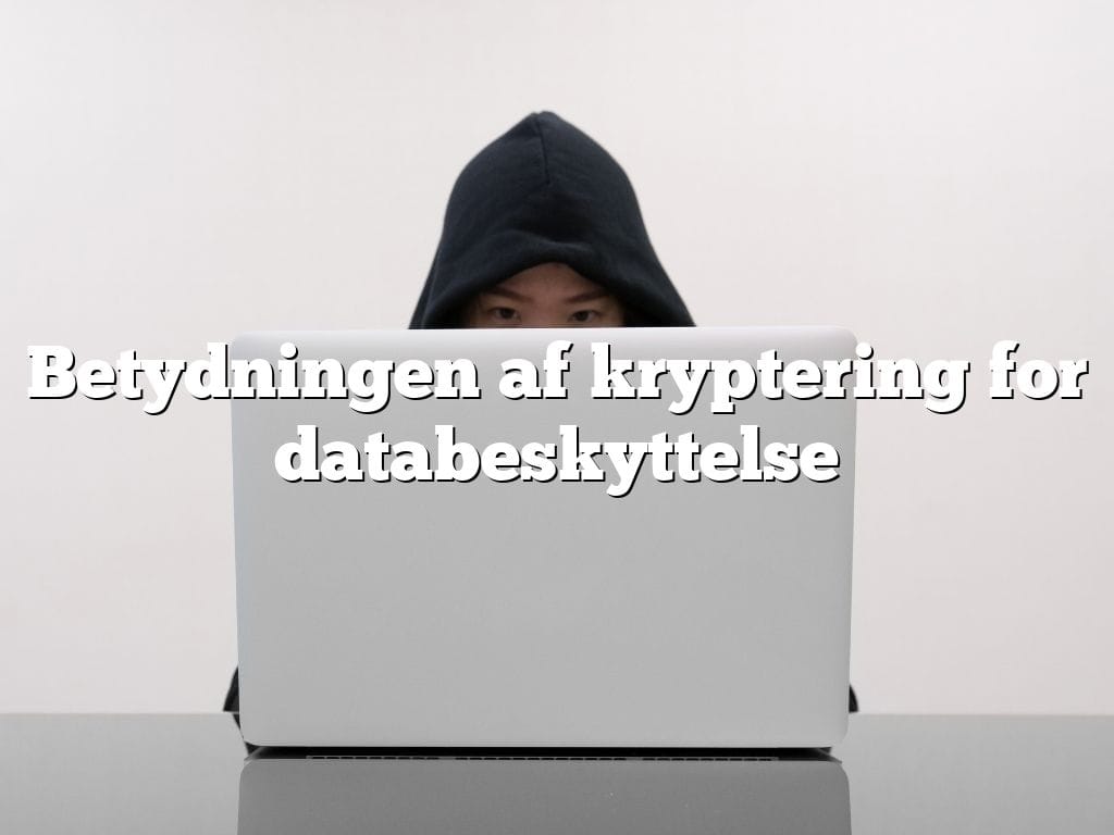 Betydningen af kryptering for databeskyttelse