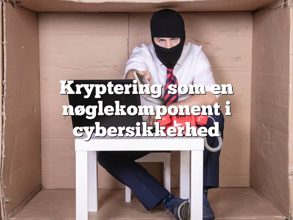 Kryptering som en nøglekomponent i cybersikkerhed