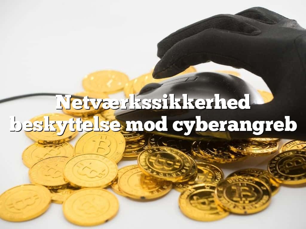 Netværkssikkerhed beskyttelse mod cyberangreb